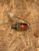 Kuhnke – H34‑F‑HS3192 – H34 Linear Solenoid Coil